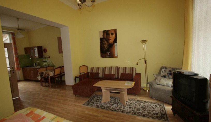 Apartmán Dr.Engla 6 Karlovy Vary - Apartmán Engla